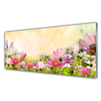 Plexiglas® Wall Art Flowers nature pink yellow green