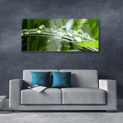 Plexiglas® Wall Art Grass dew drops floral green