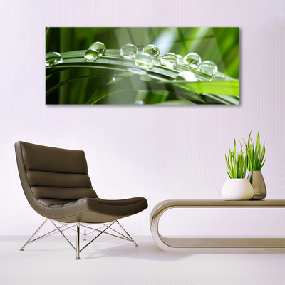 Plexiglas® Wall Art Grass dew drops floral green