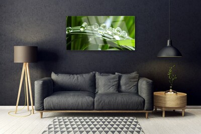 Plexiglas® Wall Art Grass dew drops floral green