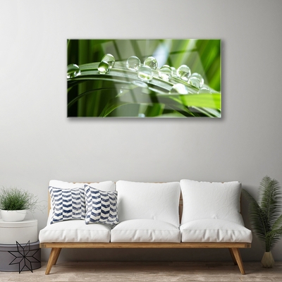 Plexiglas® Wall Art Grass dew drops floral green