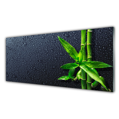 Plexiglas® Wall Art Bamboo stalks floral green