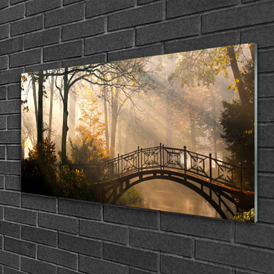 Plexiglas® Wall Art Forest bridge architecture brown green
