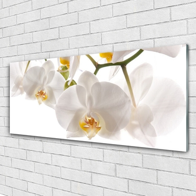 Plexiglas® Wall Art Flowers floral white