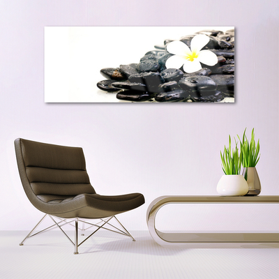 Plexiglas® Wall Art Flower stones art white black