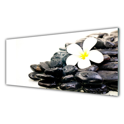 Plexiglas® Wall Art Flower stones art white black