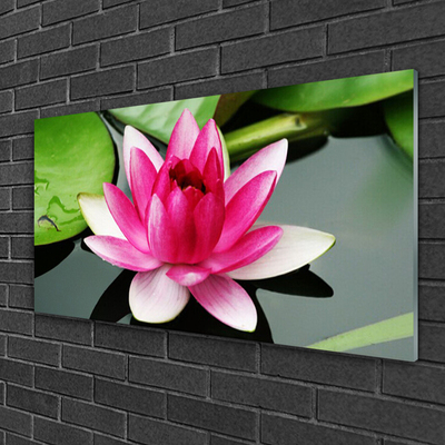 Plexiglas® Wall Art Flower floral red white