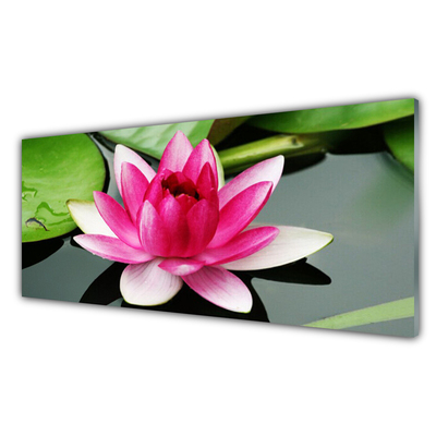 Plexiglas® Wall Art Flower floral red white