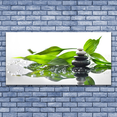 Plexiglas® Wall Art Stones leaves art black green
