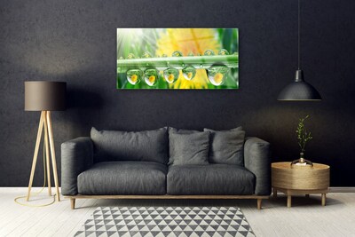 Plexiglas® Wall Art Stem dew drops floral green