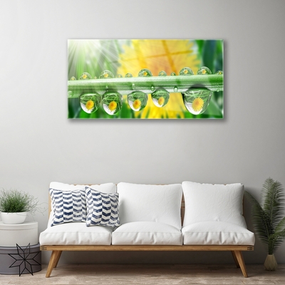 Plexiglas® Wall Art Stem dew drops floral green