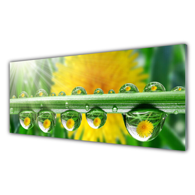 Plexiglas® Wall Art Stem dew drops floral green