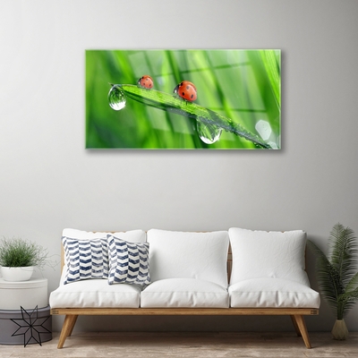 Plexiglas® Wall Art Ladybird beetle floral green red black