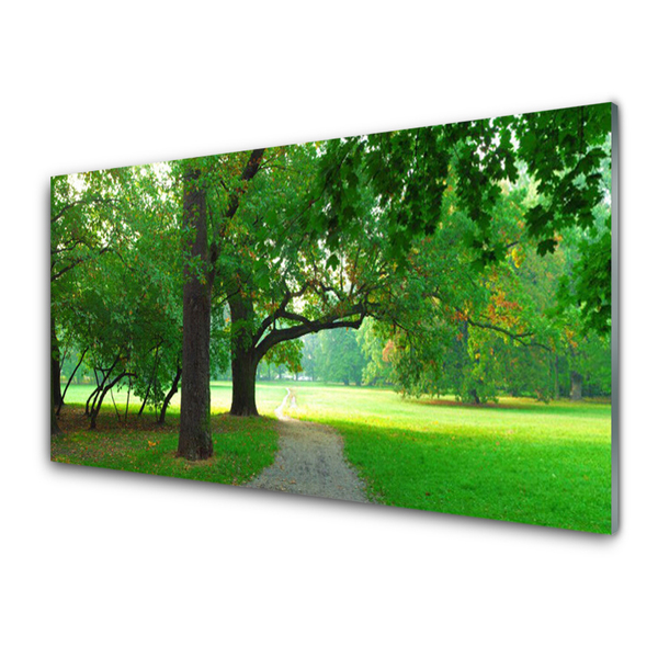 Plexiglas® Wall Art Footpath trees nature brown green