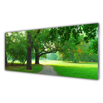 Plexiglas® Wall Art Footpath trees nature brown green