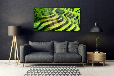 Plexiglas® Wall Art Forest nature green