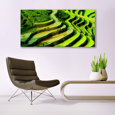 Plexiglas® Wall Art Forest nature green