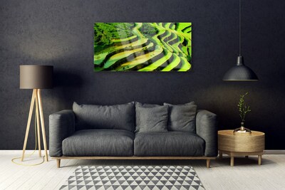 Plexiglas® Wall Art Forest nature green