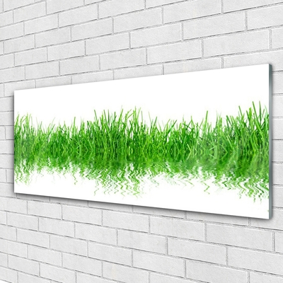 Plexiglas® Wall Art Grass nature green