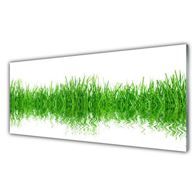 Plexiglas® Wall Art Grass nature green