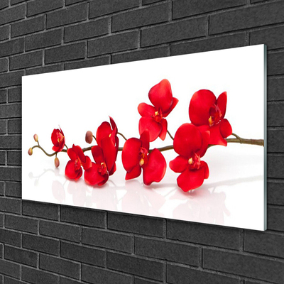 Plexiglas® Wall Art Flowers floral red