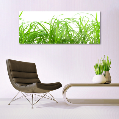 Plexiglas® Wall Art Grass nature green