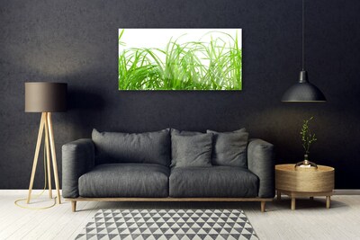 Plexiglas® Wall Art Grass nature green