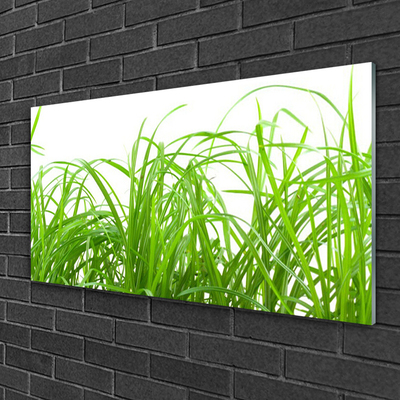 Plexiglas® Wall Art Grass nature green