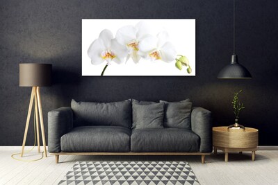 Plexiglas® Wall Art Flowers floral white