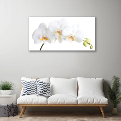 Plexiglas® Wall Art Flowers floral white