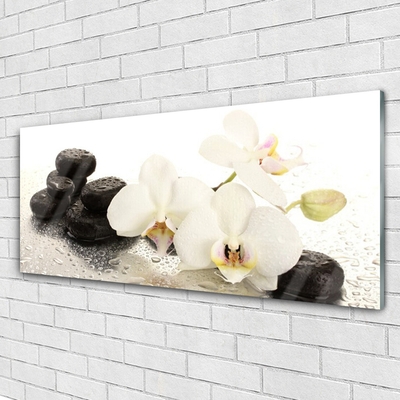 Plexiglas® Wall Art Flower stones floral white black