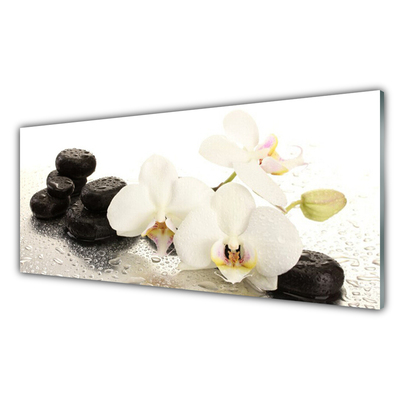 Plexiglas® Wall Art Flower stones floral white black