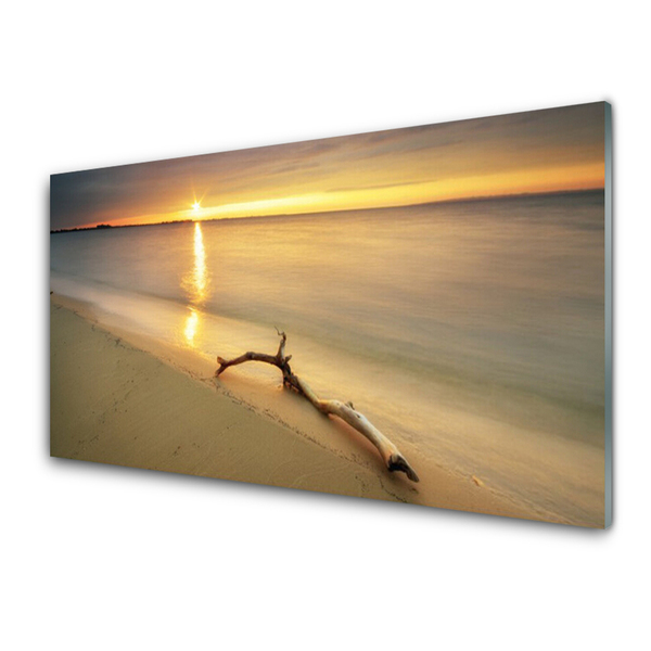 Plexiglas® Wall Art Ocean beach landscape brown blue yellow