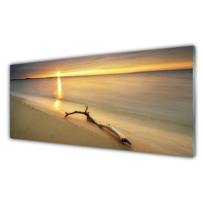 Plexiglas® Wall Art Ocean beach landscape brown blue yellow