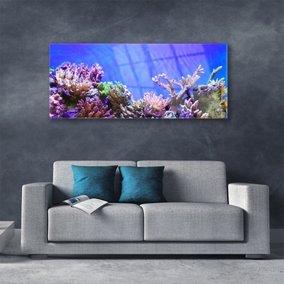 Plexiglas® Wall Art Coral reef nature multi