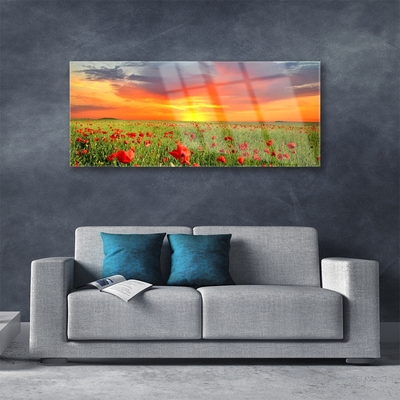 Plexiglas® Wall Art Poppies sun nature red green yellow grey