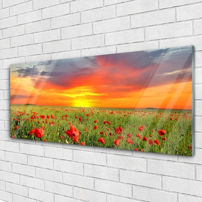 Plexiglas® Wall Art Poppies sun nature red green yellow grey