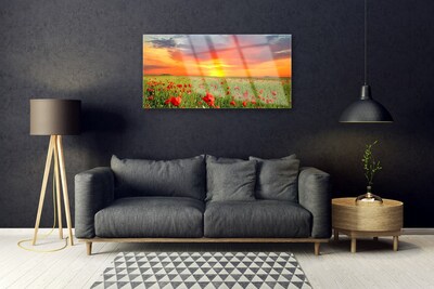 Plexiglas® Wall Art Poppies sun nature red green yellow grey