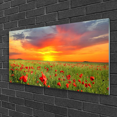 Plexiglas® Wall Art Poppies sun nature red green yellow grey