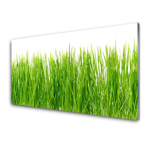 Plexiglas® Wall Art Grass nature green