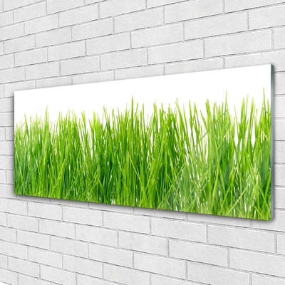 Plexiglas® Wall Art Grass nature green