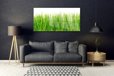 Plexiglas® Wall Art Grass nature green