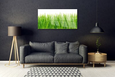 Plexiglas® Wall Art Grass nature green