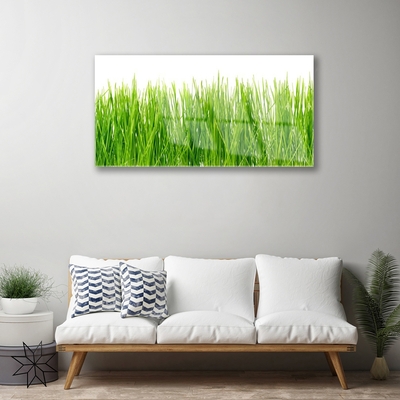 Plexiglas® Wall Art Grass nature green