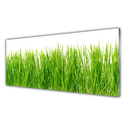 Plexiglas® Wall Art Grass nature green