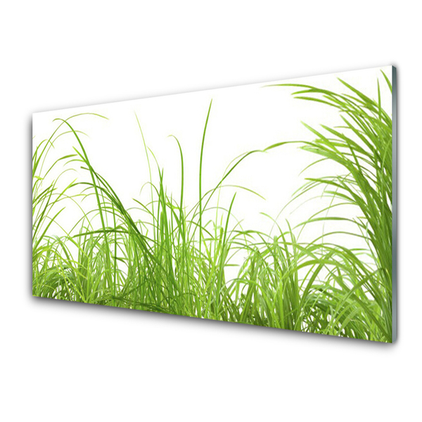 Plexiglas® Wall Art Grass nature green