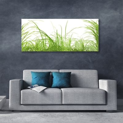 Plexiglas® Wall Art Grass nature green