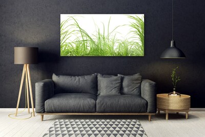 Plexiglas® Wall Art Grass nature green