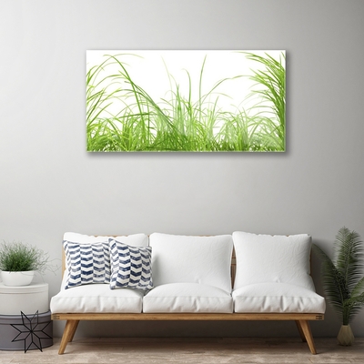 Plexiglas® Wall Art Grass nature green