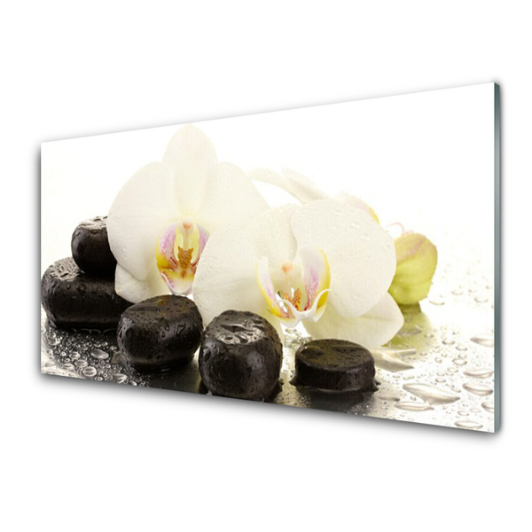 Plexiglas® Wall Art Flower stones art white black